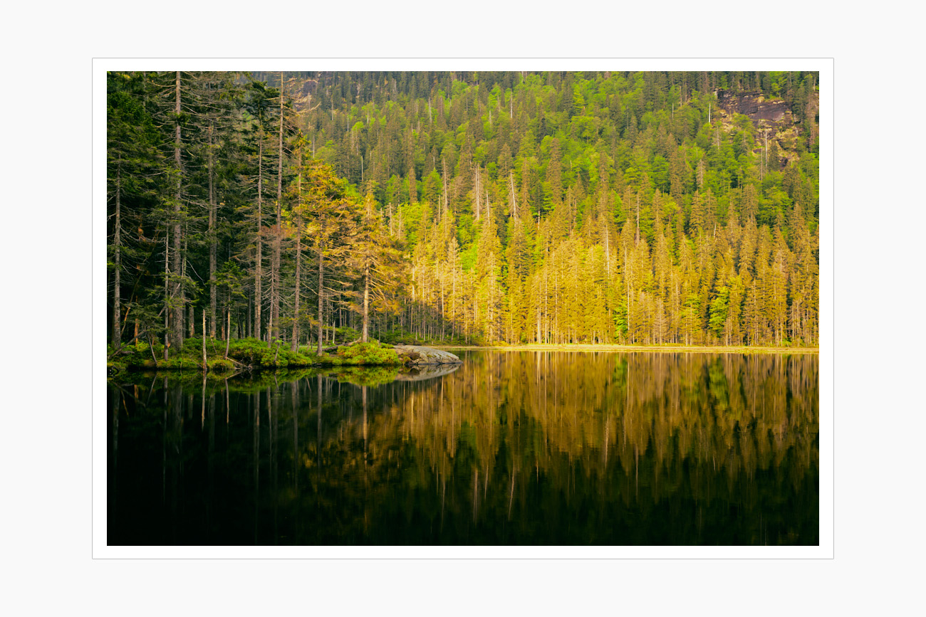 Max Schiefele Alle Bilder  DS10335